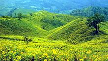 A national park in Mae Hong Son Province on the Doi Mae Ukor, Mae Surin National Park is blessed with waterfalls and a vast field of wild sunflowers (bua thong) which bloom in November